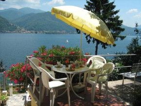 Bild Lago Maggiore Cannobio
